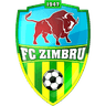 FC Zimbru