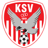 Kapfenberger SV 1919