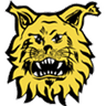 Ilves Tampere