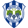 Tochigi City SC