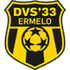 SV DVS '33