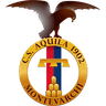 Montevarchi Calcio