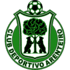 CD Arenteiro